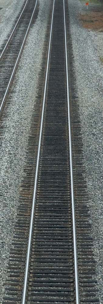 Tracks northward