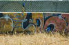 Graffiti and grass